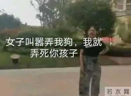 文章快乐大本营2013