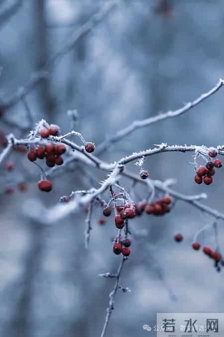 《我的漫画老师》范文,《我的漫画老师》范文语文老师