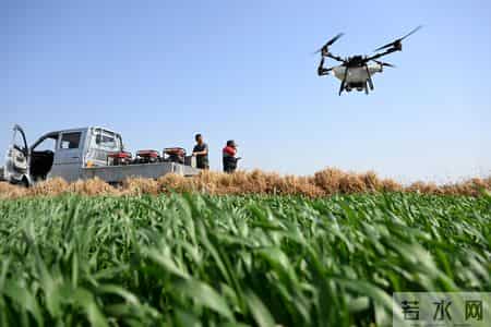 田野春天,2024春天田野里的新故事——各地高质量推进春季农业生产