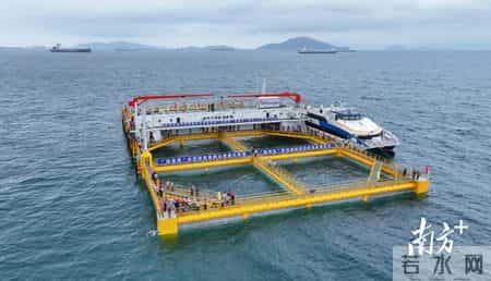 海洋魅力号,海洋魅力号是哪个国家的