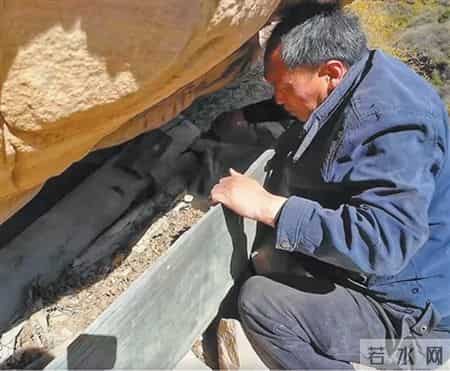 四年级上册第二单元作文我的家人