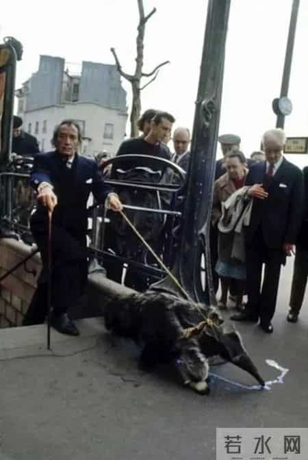 我的早年生活教案