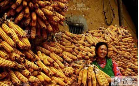 看！这幸福的百元大钞