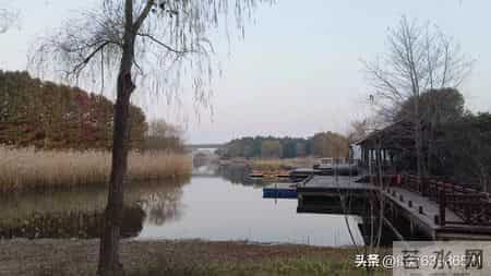 甘肃平凉：近十年中考作文精细化整理（2016-2025）