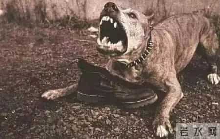 我想起小学年代的经典作文题目《上学路上》