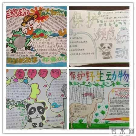 致敬新时代 争当好少年