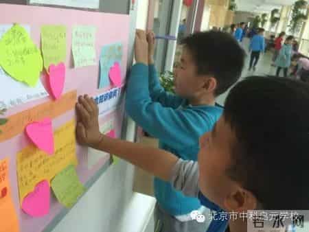 小苗与大树的对话教案,大树与小苗的对话