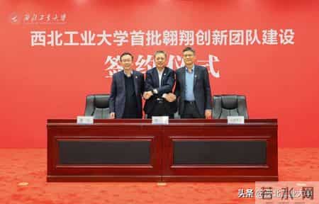 飞翔团队,飞翔团队信鸽