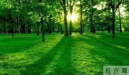 以生命为话题的作文,以生命为话题的作文600字