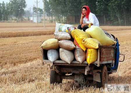 看！这幸福的百元大钞