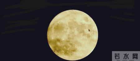 借物喻人的作文400