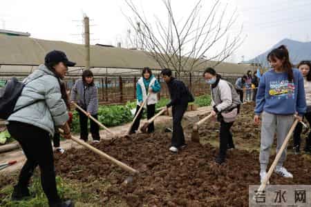 三八节活动方案