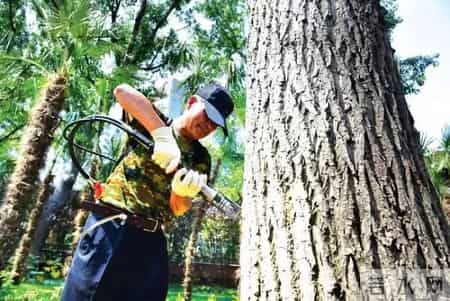 奇暖卷二13_5,奇暖卷二第2章通关套装