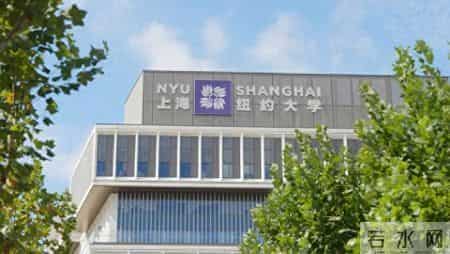 上纽大公布2025届本科毕业生去向，89%毕业生在非原籍国深造或就业