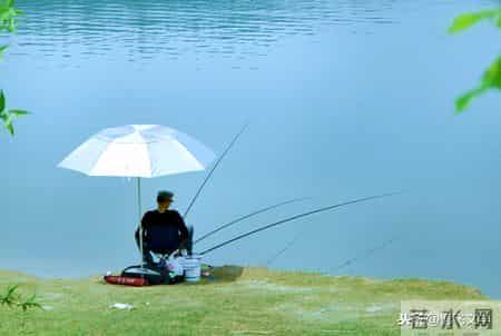 「散文」 垂钓有感