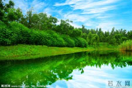 给长辈拜年祝福语简短,10句专属长辈的拜年吉祥话，暖心又高级，全家都爱听