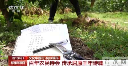 作文端午节300字