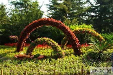 国庆见闻的作文