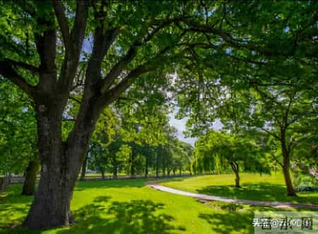 蝉鸣黄叶汉宫秋,寇准盛夏时闻蝉观云，吟出一首佳作，最后两句彰显出超凡情怀