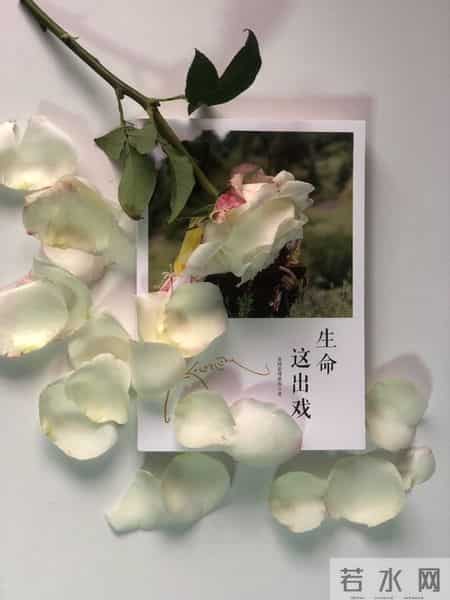 我眼中的自己,张晓磊情感爆款文章-镜中影，心中我：最难看清的自己