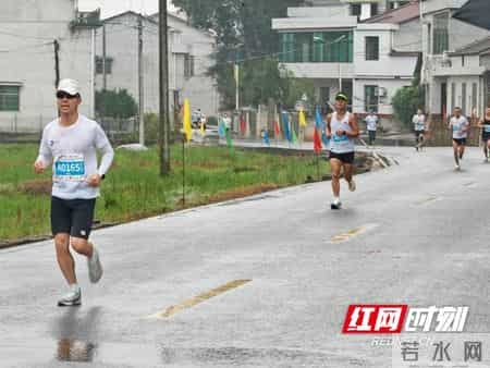 乡间秋雨,乡间秋雨的主要内容