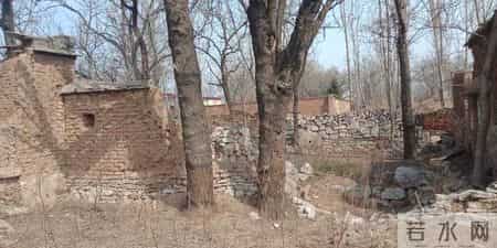 农家小院的作文,农家小院的作文怎么写