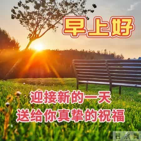 最新早上好祝福每天一句，早安暖心牵挂的句子，吉祥如意伴你左右