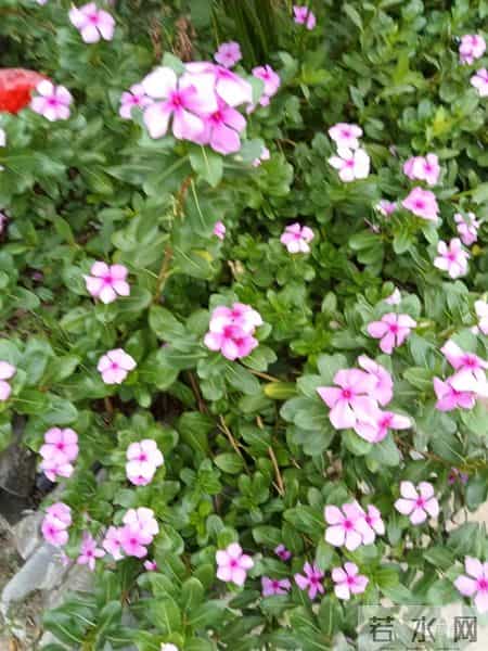 大学迎新晚会主持词,“串场词”的美学要素，一位“串场词”大师积累几十年的独门秘籍