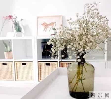 20种花材的插花方法，不会插花看这里
