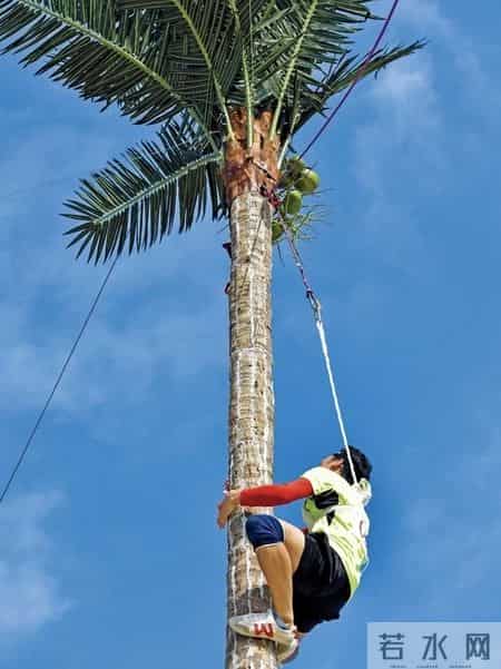 第九届全国少数民族运动会,第九届全国少数民族运动会歌曲视频大全