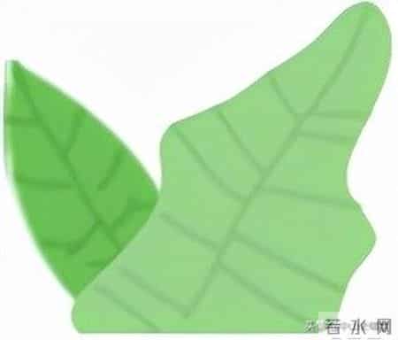 五桂山中山中专学校,探校｜在风景如画的中山中专读书，是一种怎样的体验？