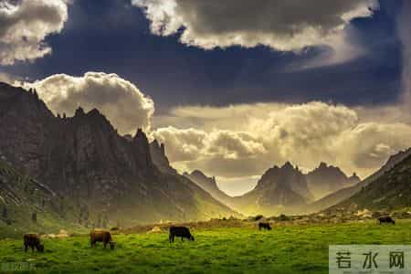 以国庆节为主题的作文