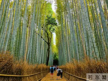 忆秦娥刘克庄,十首忆秦娥巅峰之作，道尽人间千年愁