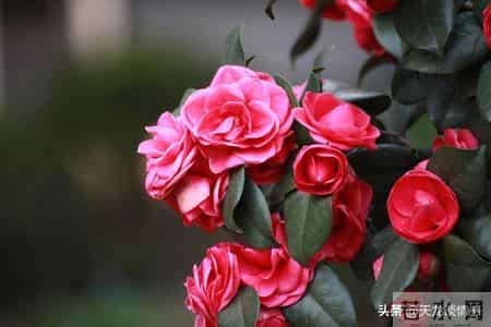 怎样做人,为人处世大全，建议收藏