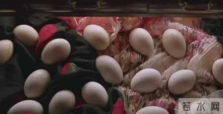 综合实践课,综合实践活动课程