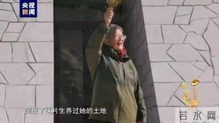 感动中国的故事,感动中国的故事有哪些