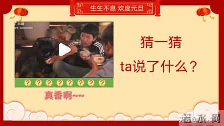 班级元旦晚会策划书