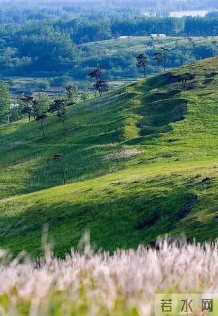 江北地图 - 最全春游打卡地，速度收藏起来！