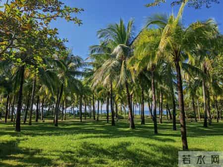 第九届全国少数民族运动会,第九届全国少数民族运动会歌曲视频大全