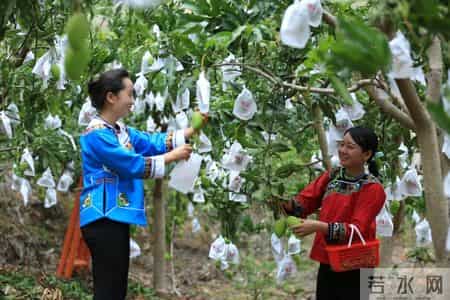 巾帼建功标兵事迹材料,巾帼建功标兵个人简介