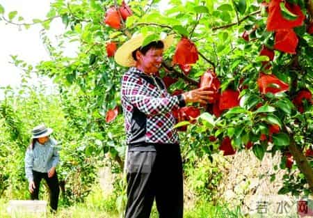 劳动感悟,劳动感悟50字