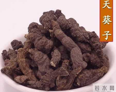 蒲公英教案,五味消毒饮，专为治疗大而深的痘痘而创的方子