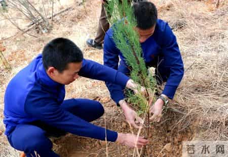 白鲸读后感,白鲸读后感400字