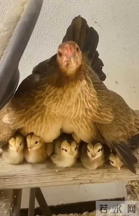 精美文章摘抄欣赏