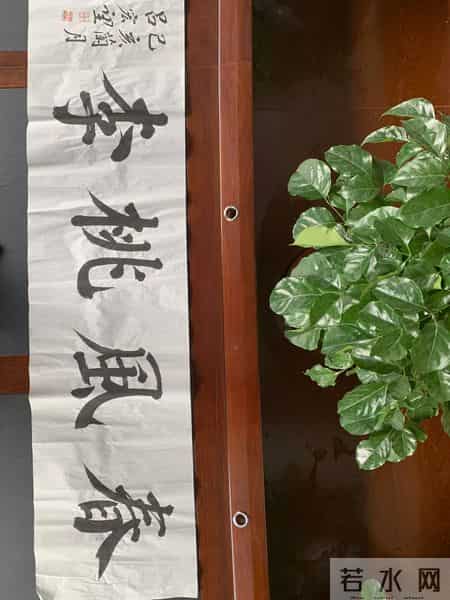 运动会方阵解说词,同仁教育集团运动会新发中英文学校入场解说词