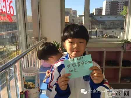 小苗与大树的对话教案,大树与小苗的对话