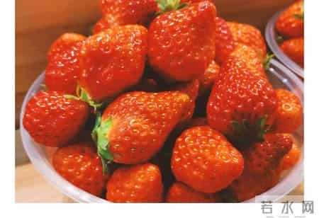 会计实习周记大全