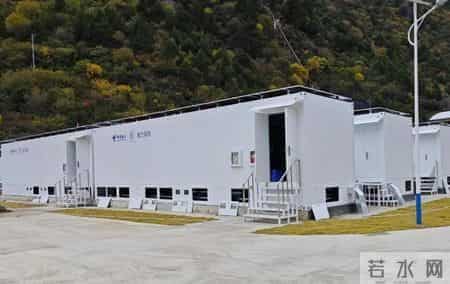 3.12植树节｜植树节，来种“数”