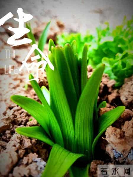 我眼中的自己,张晓磊情感爆款文章-镜中影，心中我：最难看清的自己