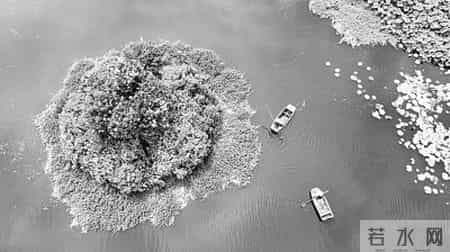 节能环保文章,如何做好节能降碳这篇大文章